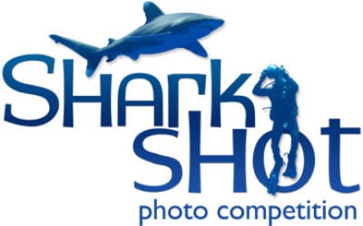 shark photography competition