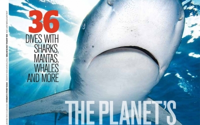 oceanic whitetip shark magazine cover