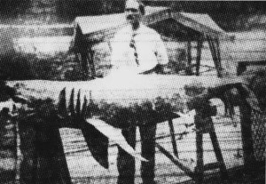 1916 nj shark maneater