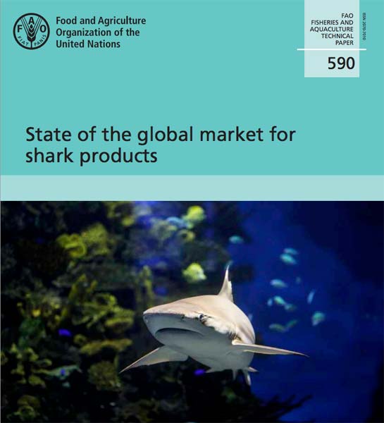 state of the global market for shark products