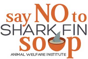 say no to shark fin soup