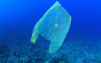 plastic ocean pollution