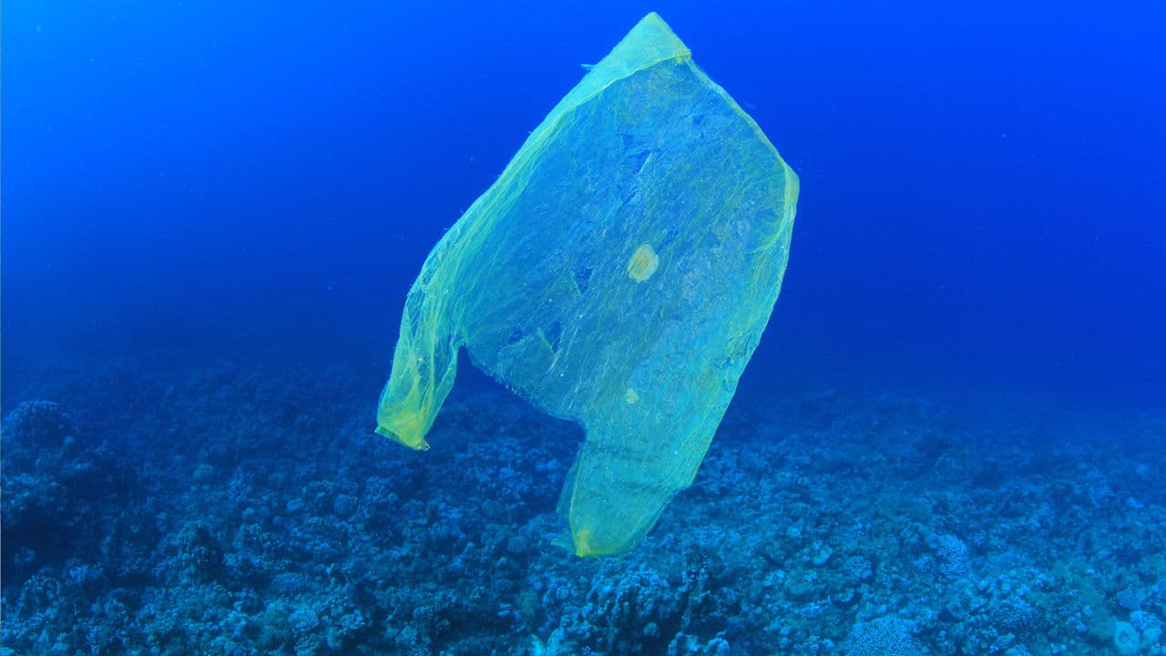 plastic ocean pollution