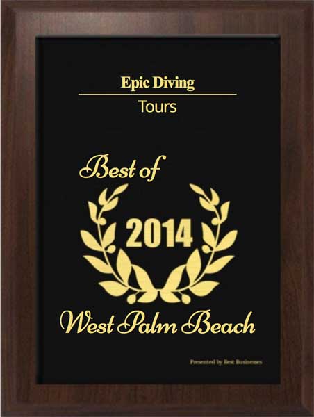 Epic Diving wins 2014 Best Tour Operator Award